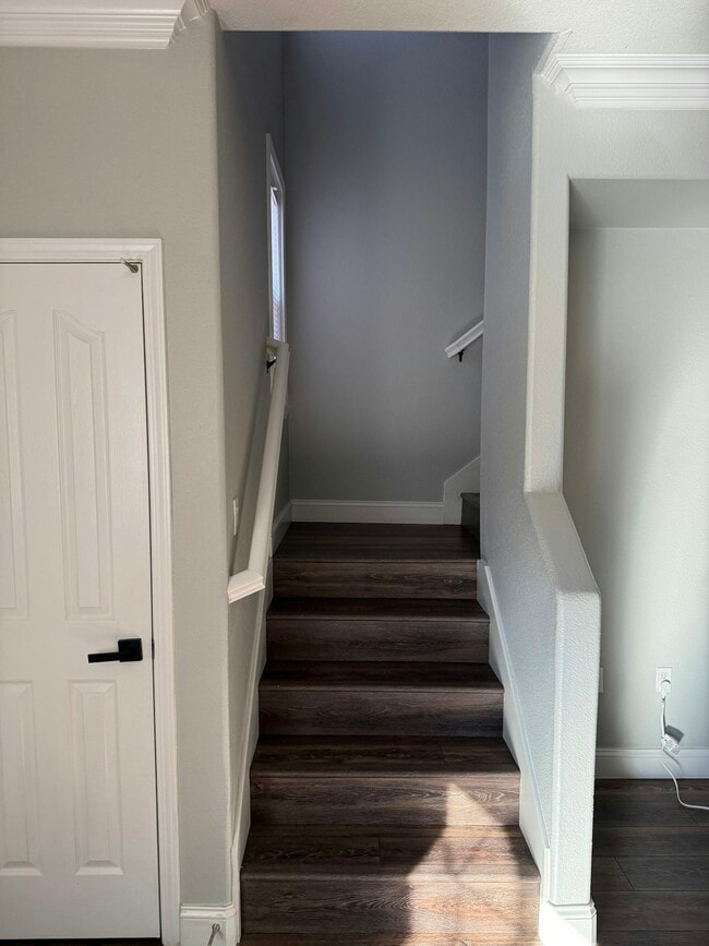 Building Photo - 203 Dante Cir