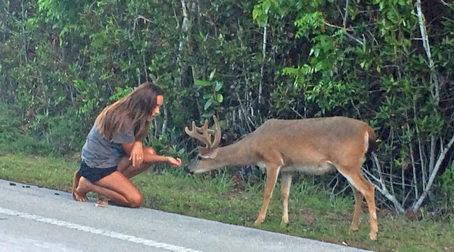 Courtney, former deer & bobcat-whisperer - 11024 161st St N