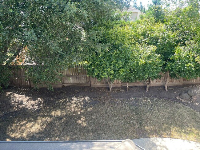 Building Photo - Beautiful 3-Bedroom Family Home in Desirable Northeast Stockton