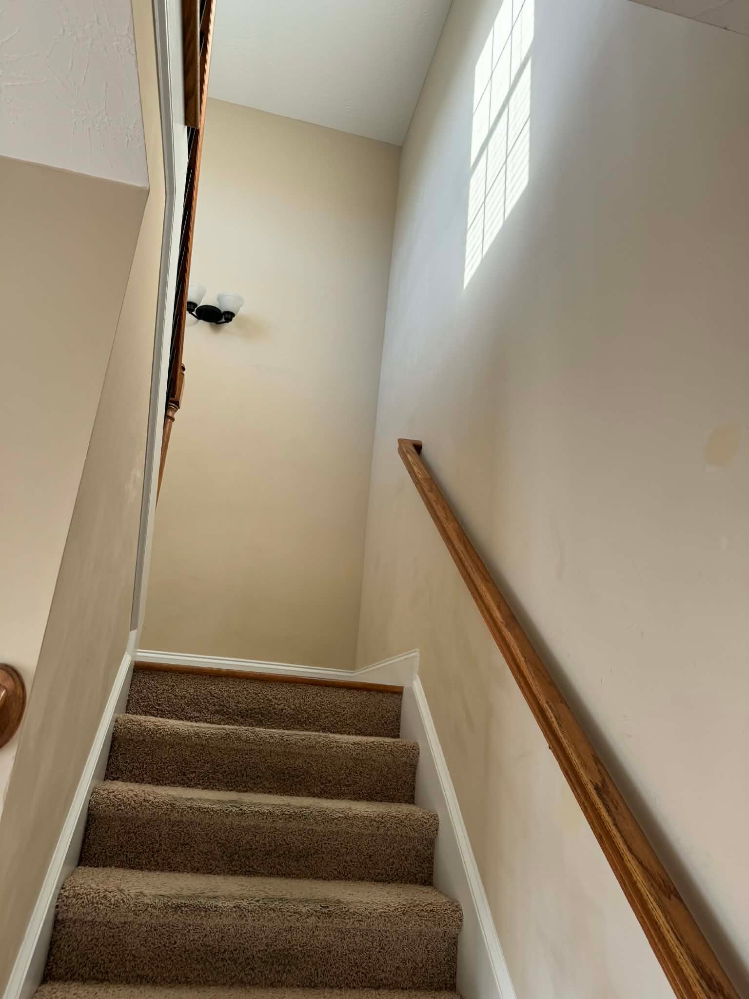 View up the stairs - 232 High Meadows Cir