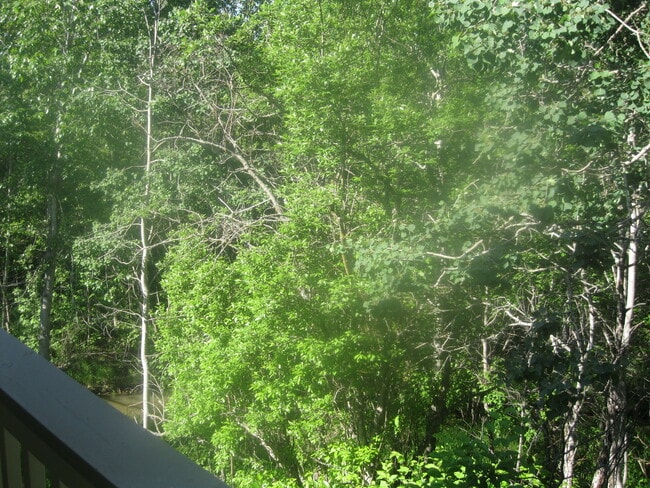 Building Photo - COMING SOON Creekside Views! 1 Bedroom Wes...