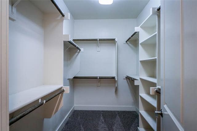 Building Photo - 3010 Zenia Dr