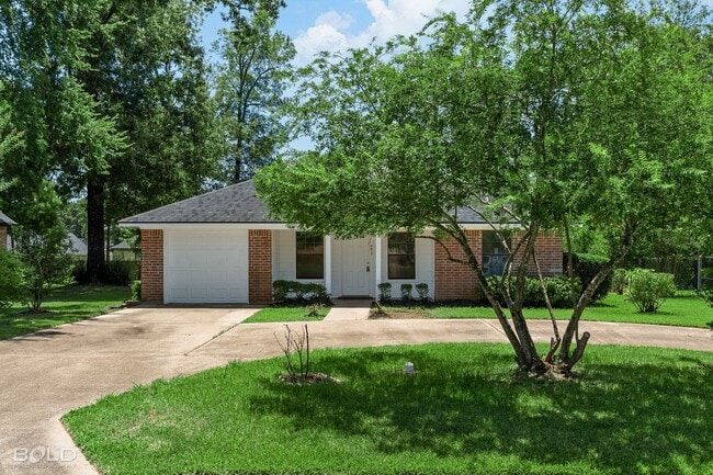 Primary Photo - Check Out this 3 bed 2 bath in North Shreveport!