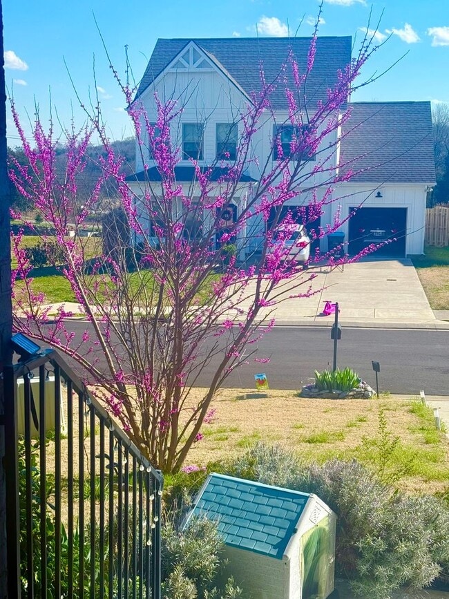 Building Photo - Cute 4BR Home in Perfect Location