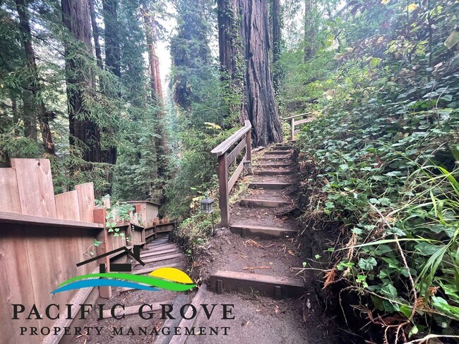 Building Photo - Cabin on Palo Colorado