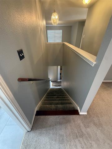 Building Photo - 4000 Juniper Ct