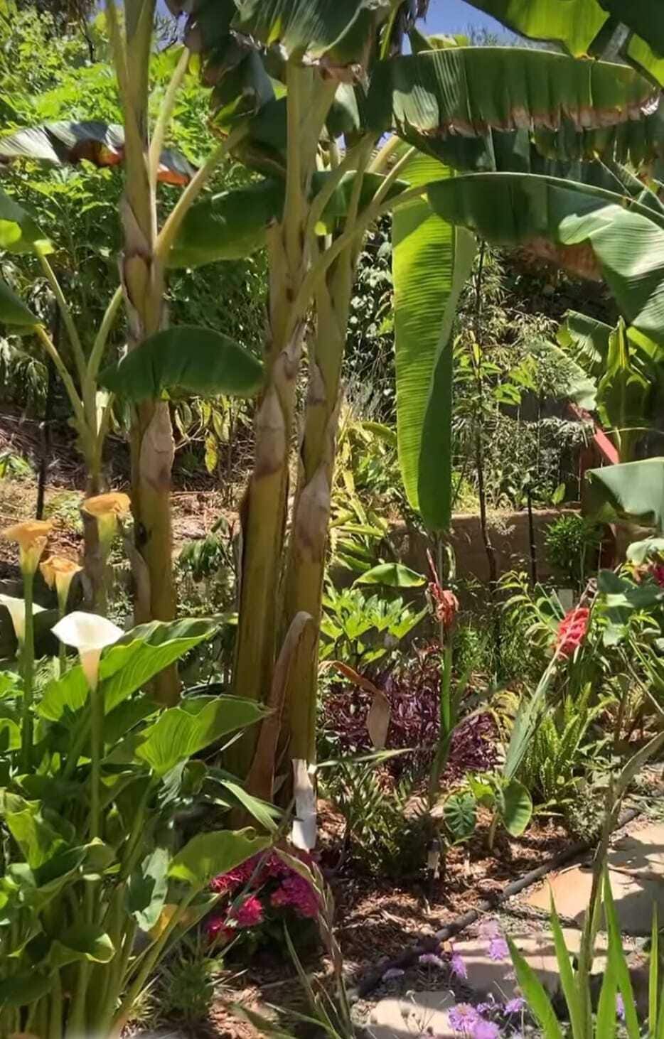 Building Photo - 395 Plaza Calimar