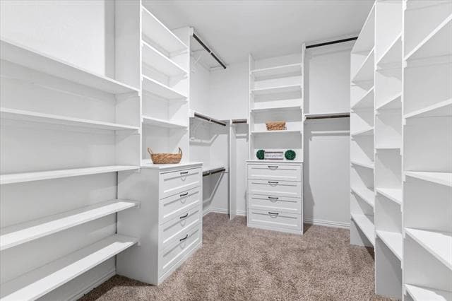 Building Photo - 2408 Buchanan Ln