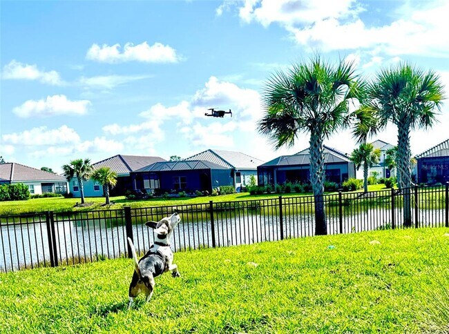 Building Photo - 2561 Star Apple Wy