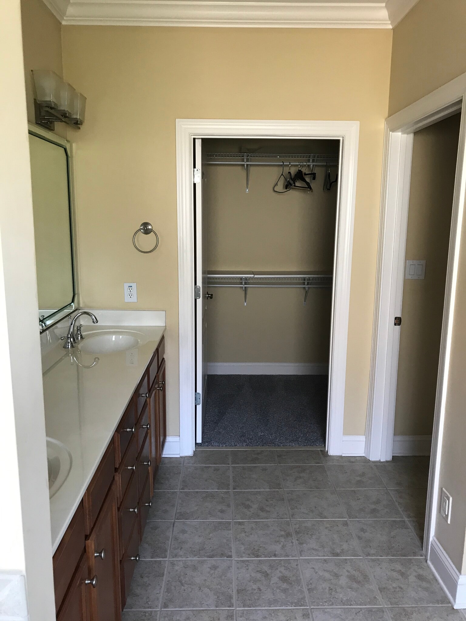 primary bathroom looking into walk-in closet - 1931 Dante Ln
