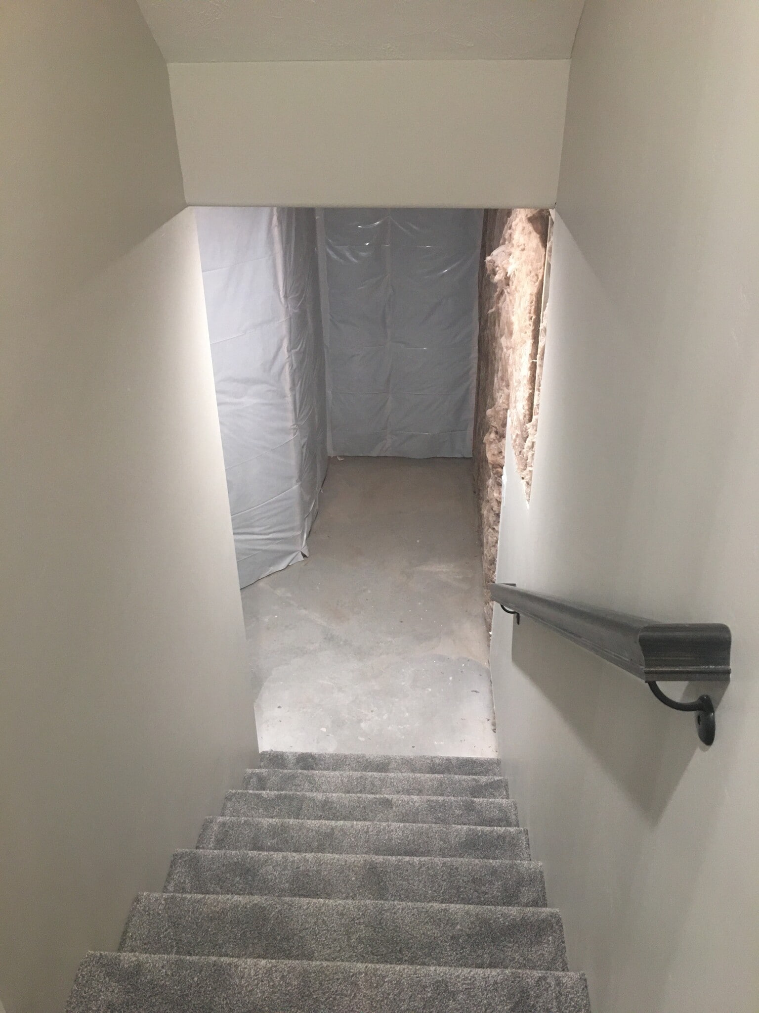 stairway to basement - 10668 N 36th E