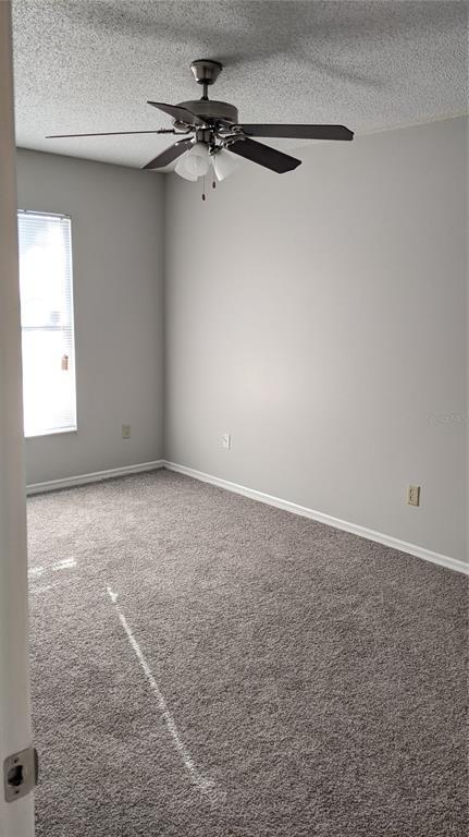 Building Photo - 1284 Roma Ct