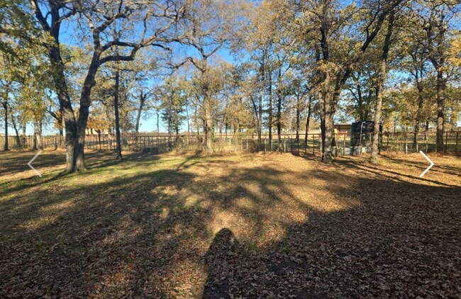 Building Photo - 3/2 Large Yard BROCK ISD / Private country living