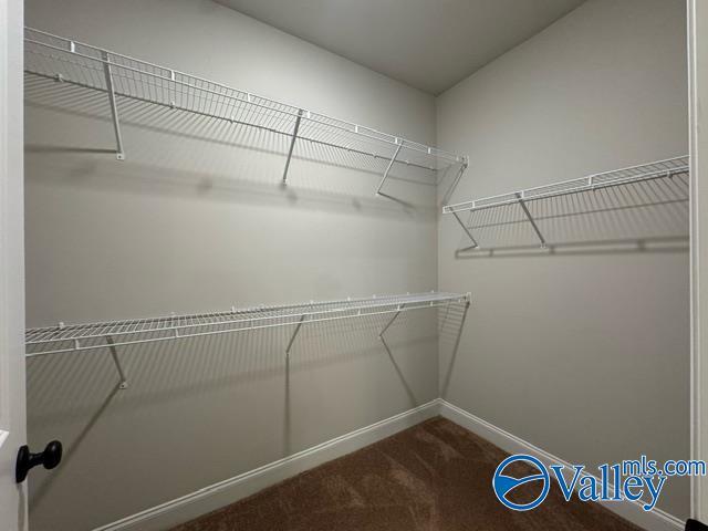 Building Photo - 133 Matilda Dr