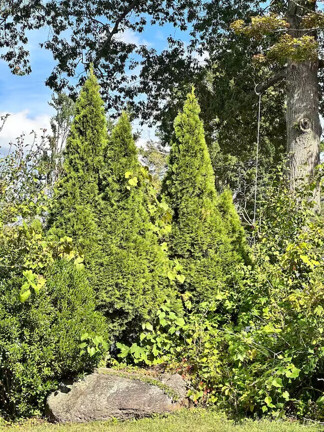 Building Photo - 14 Sterling Rd