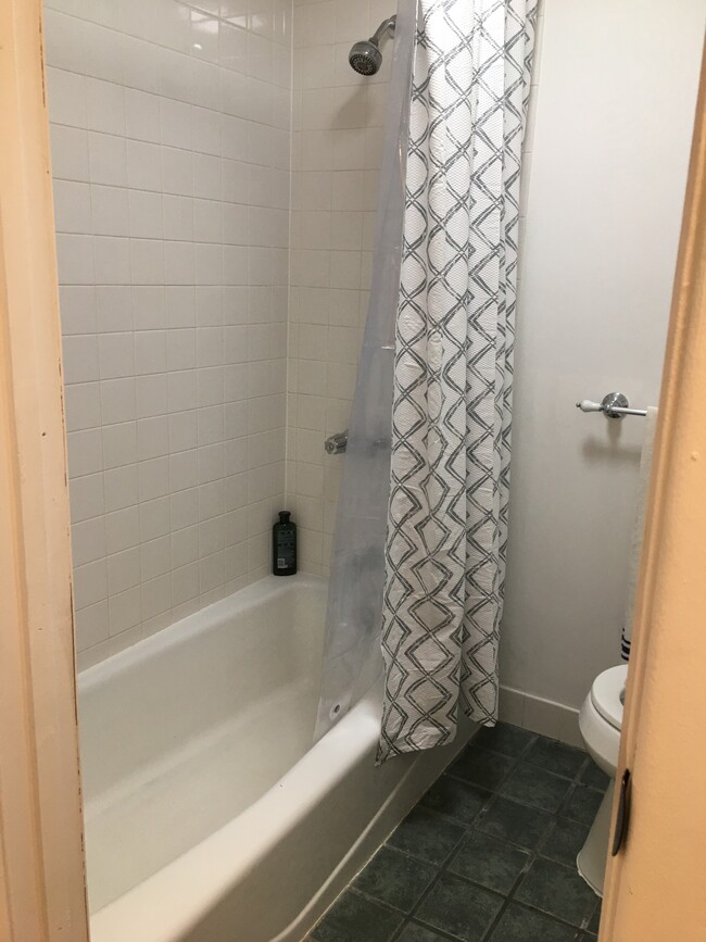 Bath, shower tub - 726 Sackett St