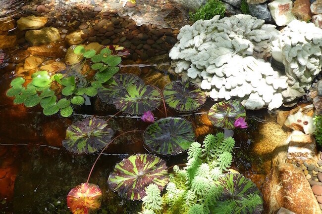 Building Photo - 2057 N Las Palmas Ave