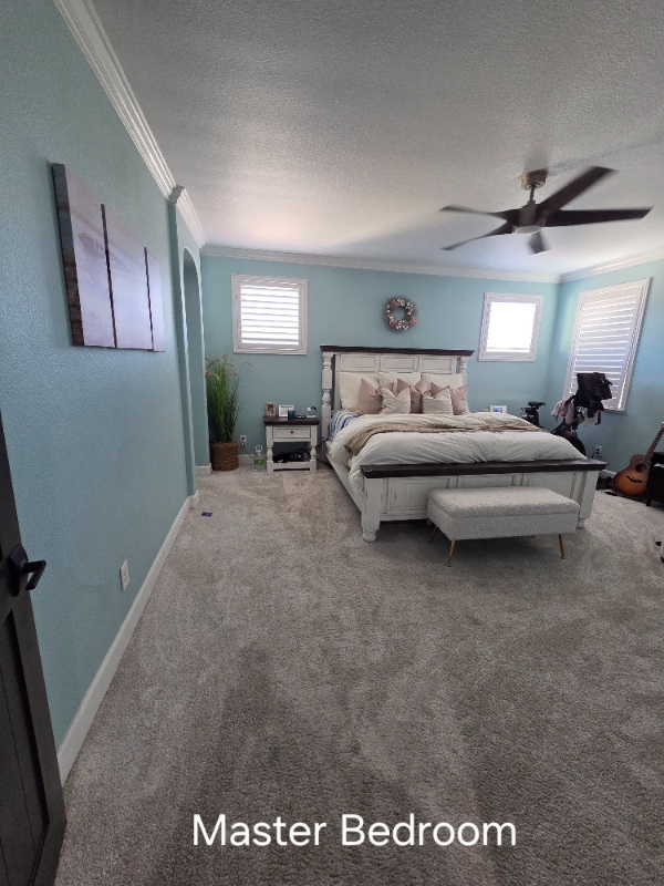 Building Photo - 11 Sola Ct