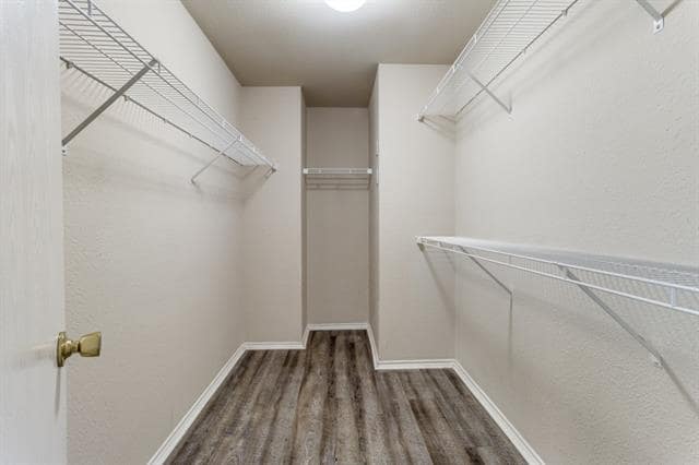 Building Photo - 1721 Southridge Ln