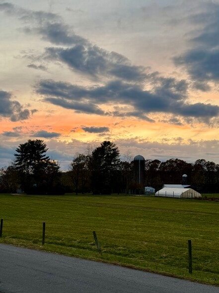 Bedrooms #2 and #3 are located on the main level and this is your view - 5163 Whitethorne Rd