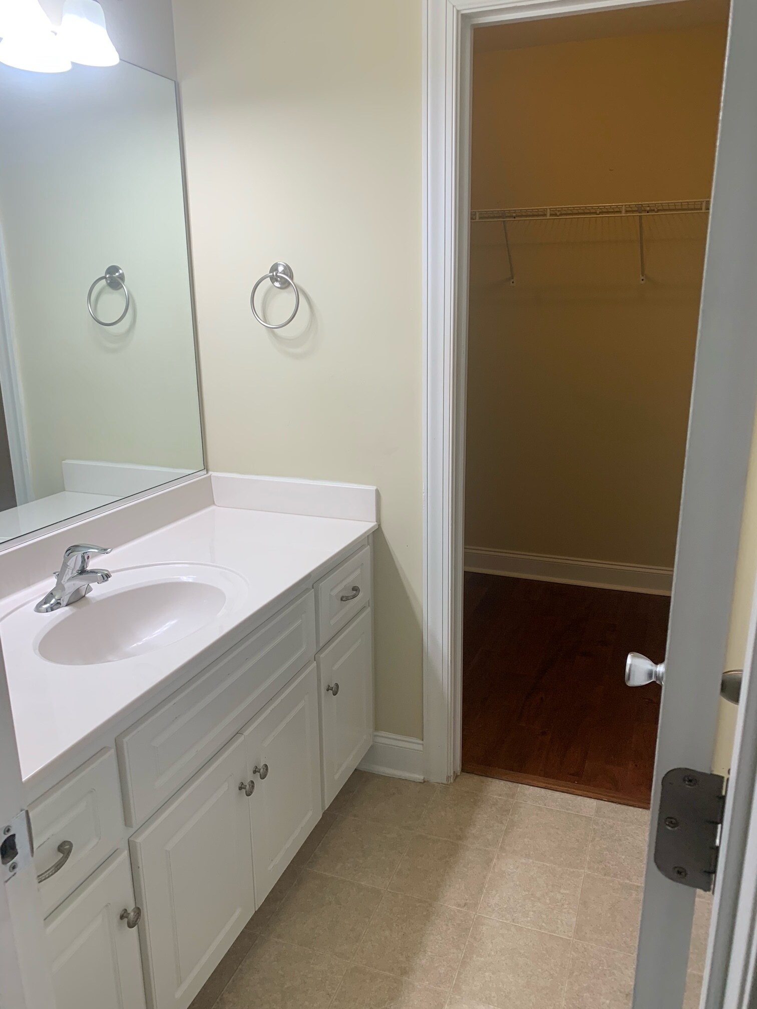 Master Bath walk-in closet - 154 Orchard Way
