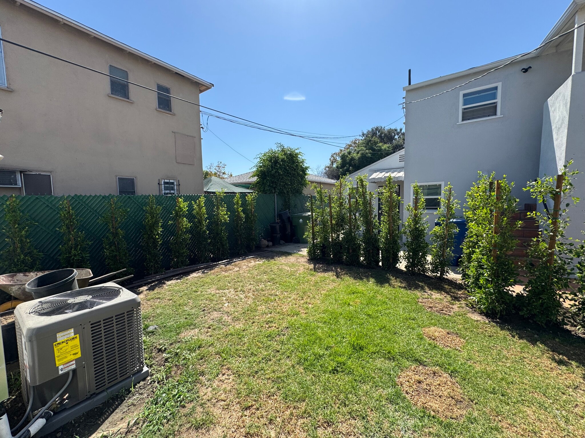 Backyard - 5943 Tujunga Ave