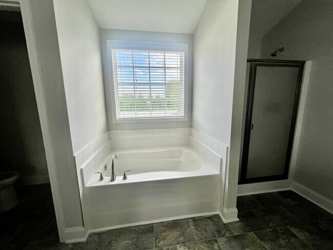 Building Photo - Stunning 4BR 3BA Home in Colfax