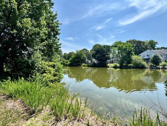 Building Photo - First Time Rental, Available NOW! A Pet-Friendly Home w/Water Views, Community Pool, Playgrounds,...