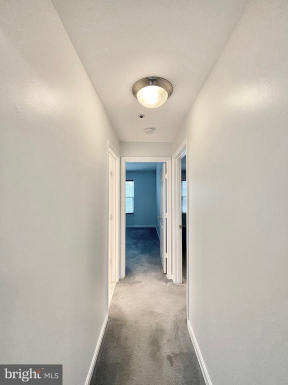 Building Photo - 2800 Emma Lee St