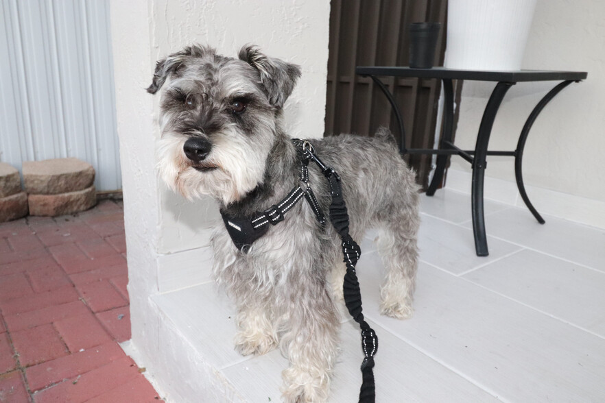 Pets allowed (with pet fee) - 3054B NW 15th St