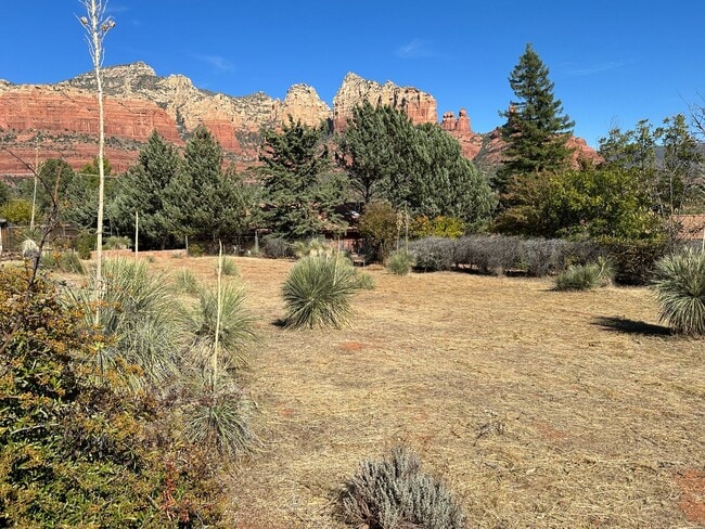 Building Photo - HOUSE - UPTOWN