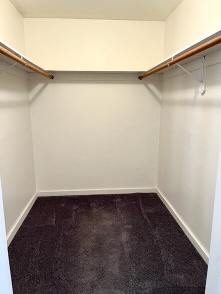 Primary Walk-in closet - 1115 S La Peer Dr
