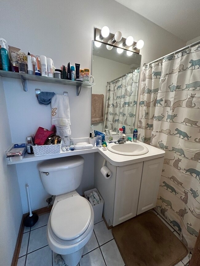 Building Photo - 867 W Buckingham Pl