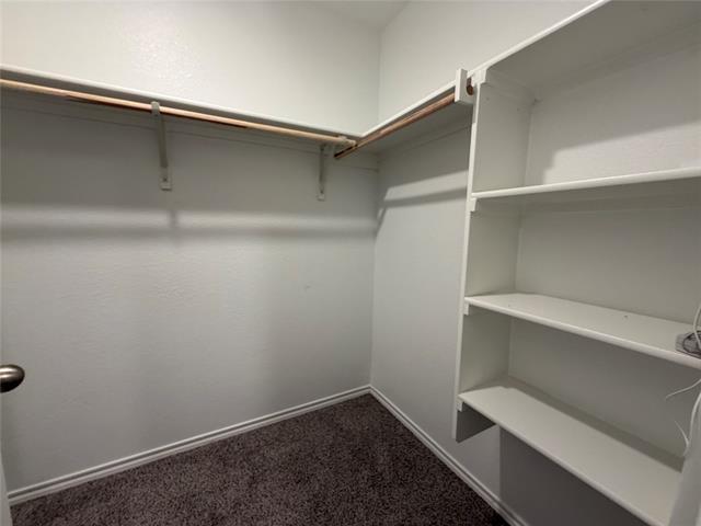 Building Photo - 3324 Price Trl