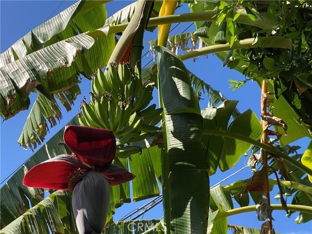 Building Photo - 1144 Carson St