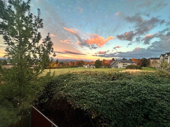 Building Photo - Argay Terrace Day Ranch with Views!