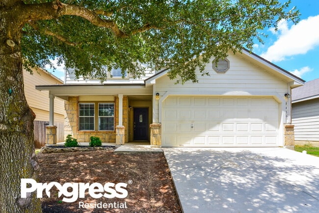 Primary Photo - 8439 Silver Brush