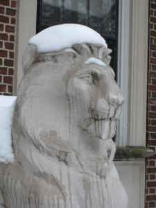 Lion Sculpture - EB Green Residence