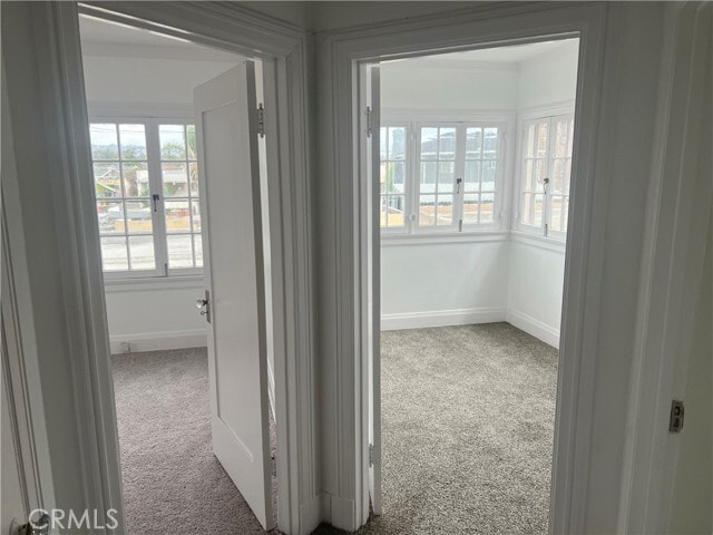 Building Photo - 4429 Victoria Park Dr