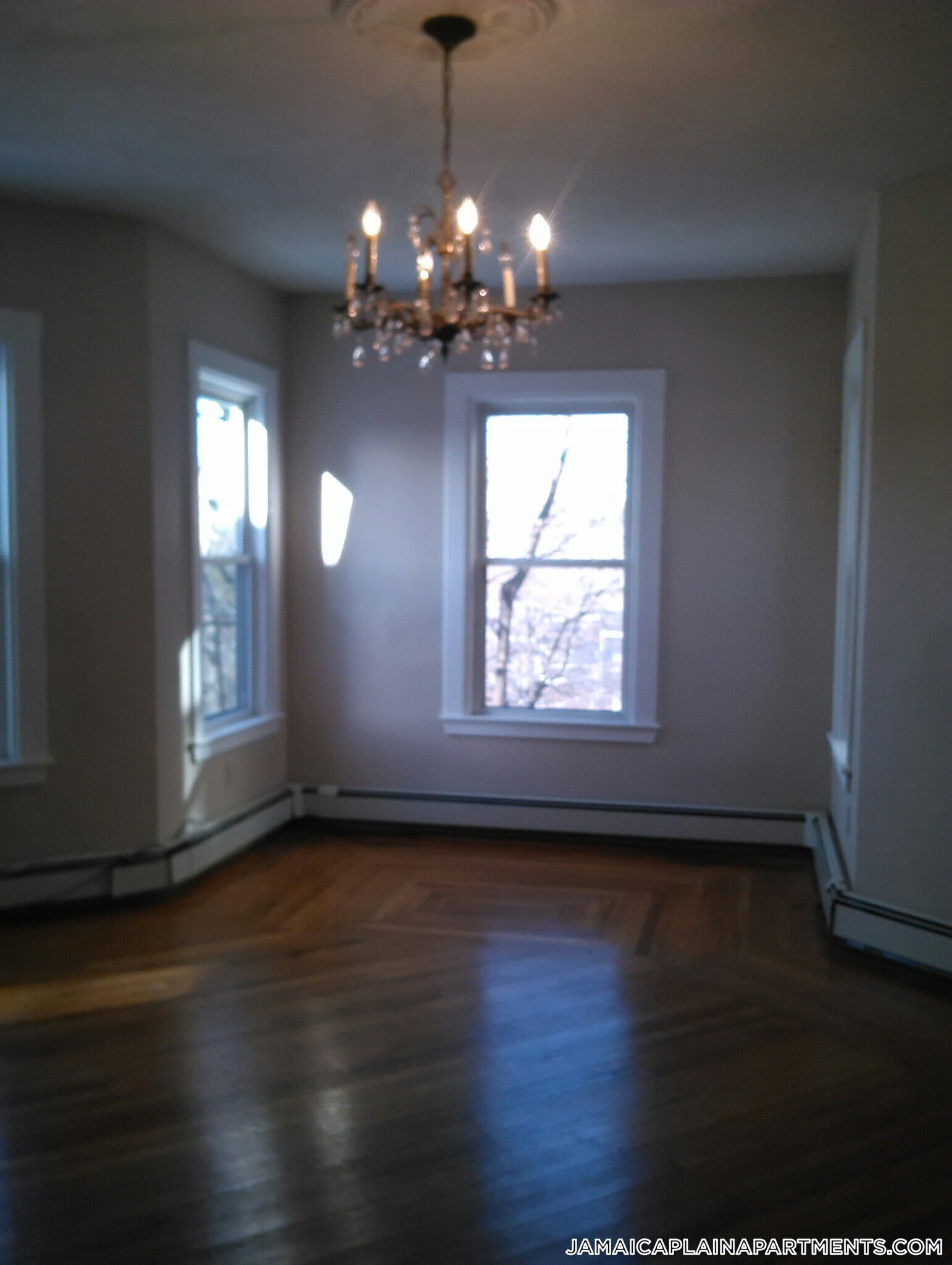 Building Photo - 116 Hyde Park Ave
