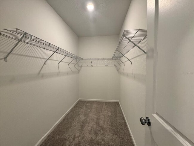 Building Photo - 2819 Maloof Dr