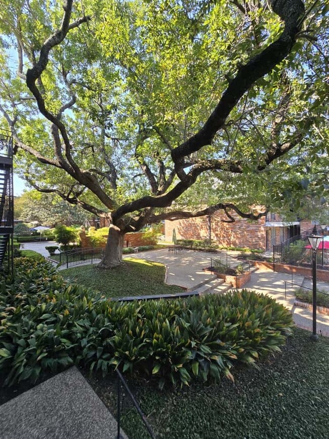 Building Photo - 8401 N New Braunfels Ave