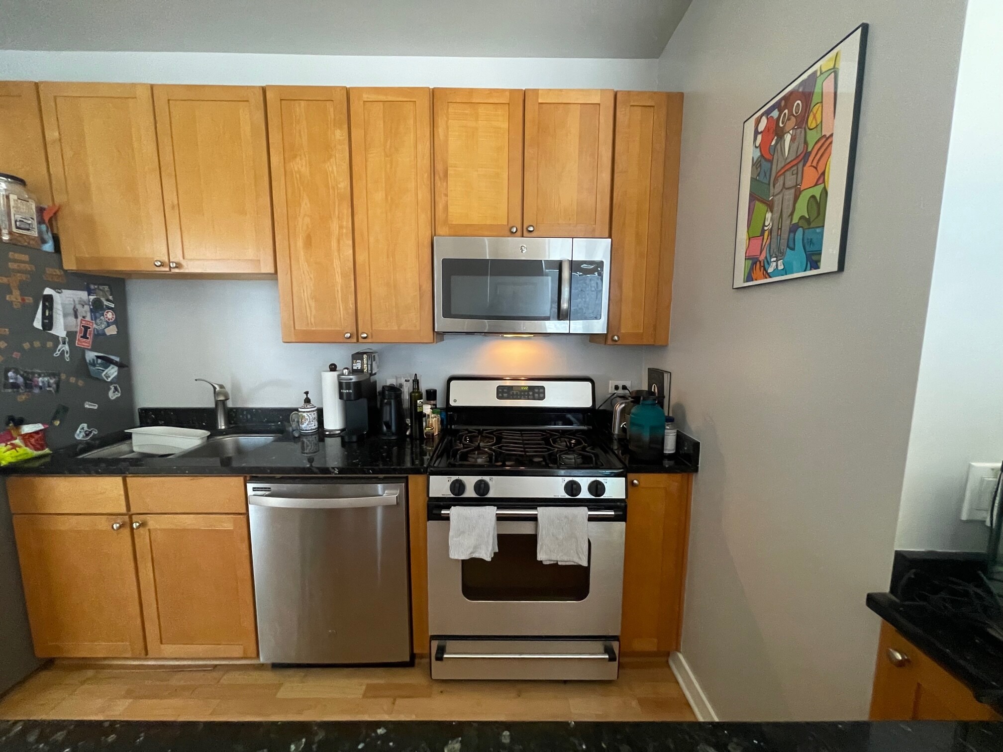 Kitchen - 720 N Larrabee St Unit 1707