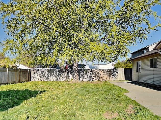 Building Photo - 199 E Striped Owl Dr