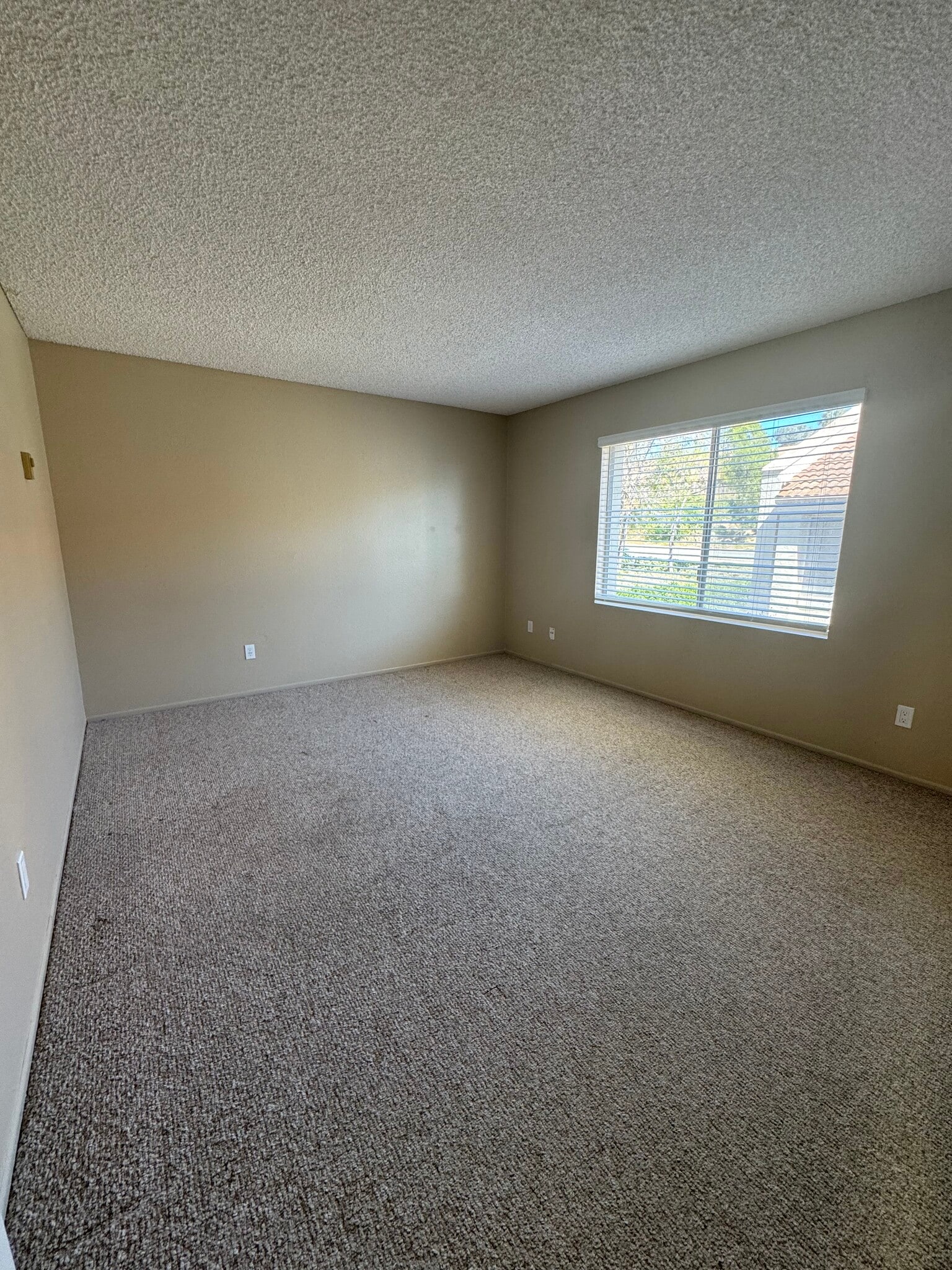 Bedroom 2 - 3882 Radcliffe Ln