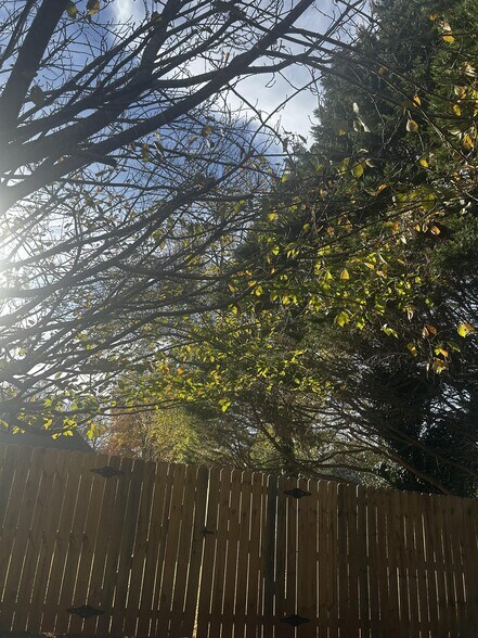 Fenced Yard - 515 Bally Claire Ln