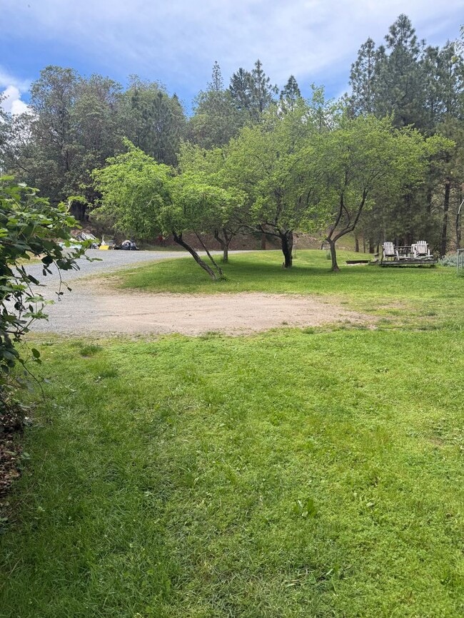 Building Photo - 3BED2BATH - LARGE FENCED BACK YARD, CENTRAL AC/HEAT, STAINLESS STEEL APPLIANCED, WASHER/DRYER HOOKUP