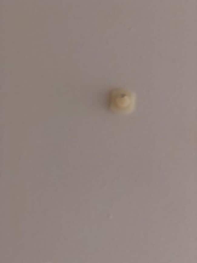 Building Photo - East Village 13th floor condo with panoramic views