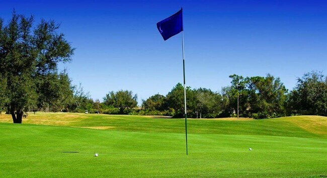 Building Photo - 2435 Palm Tree Dr