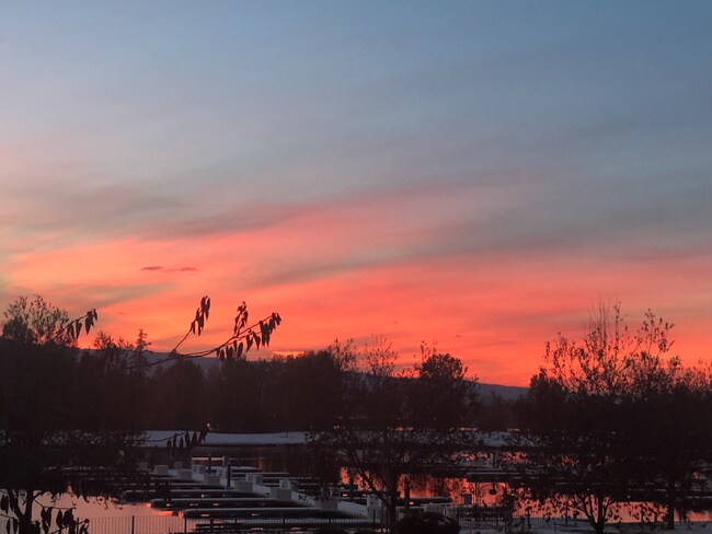 Building Photo - 2048 Marina Ct